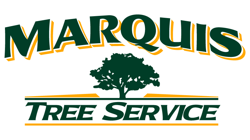Marquis Tree Service